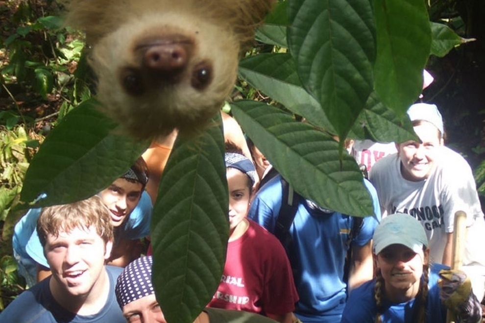 Un oso perezoso se asoma inesperadamente cuando un grupo de estudiantes se toma una foto en Costa Rica
