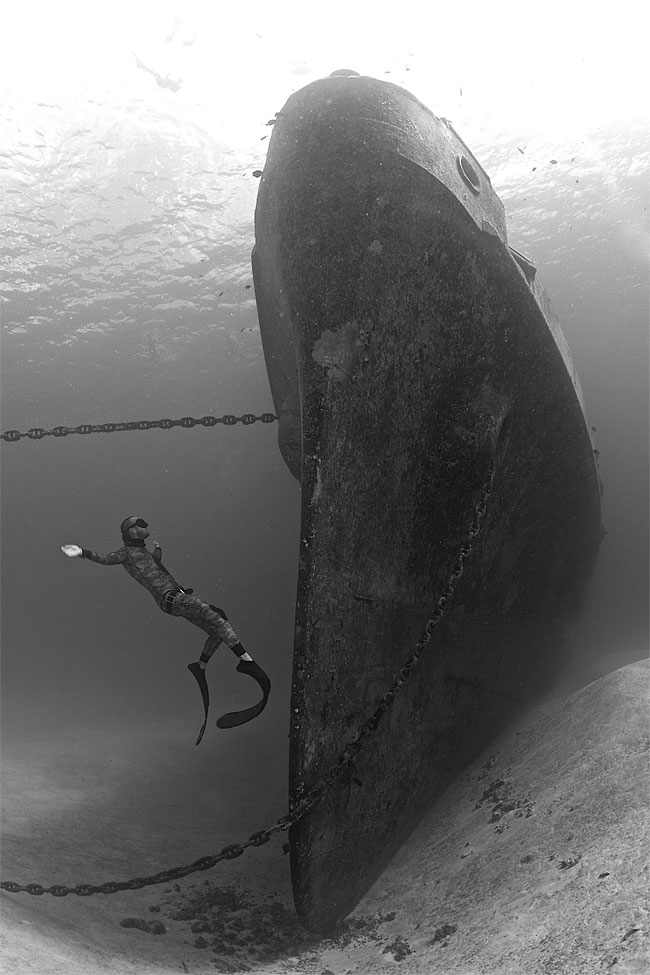 Ganadores del concurso de fotografía submarina 2014